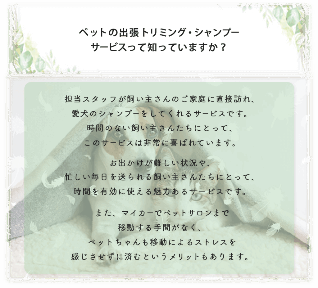 ペットの出張トリミング・シャンプーサービスって知ってますか?
担当スタッフが飼い主さんのご家庭に直接訪れ、愛犬のシャンプーをしてくれるサービスです。時間のない飼い主さんたちにとって、このサービスは非常に喜ばれています。 お出かけが難しい状況や、忙しい毎日を送られる飼い主さんたちにとって、時間を有効に使える魅力あるサービスです。 また、マイカーでペットサロンまで移動する手間がなく、ペットちゃんも移動によるストレスを感じさせずに済むというメリットもあります。