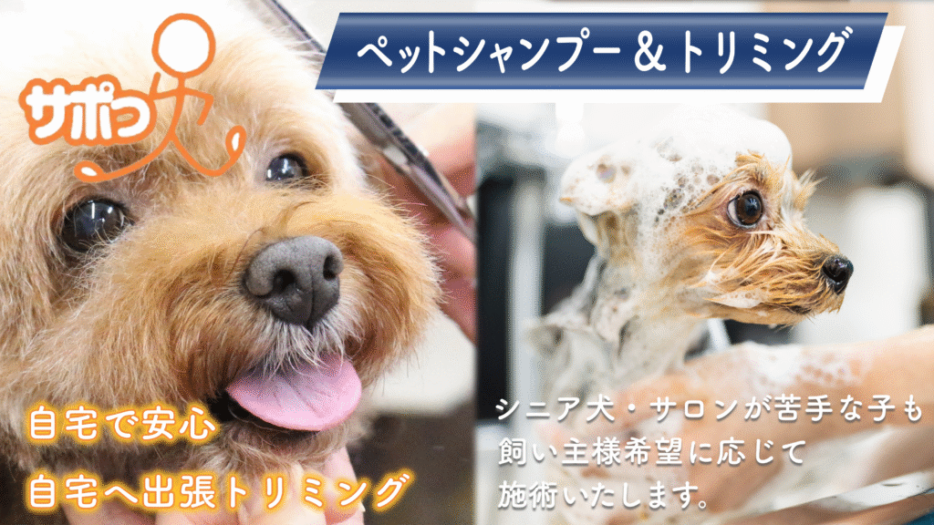ペットシャンプートリミング：自宅で安心、自宅へ出張トリミング、シニア犬、サロンが苦手な子も飼い主様希望に応じて施術いたします。