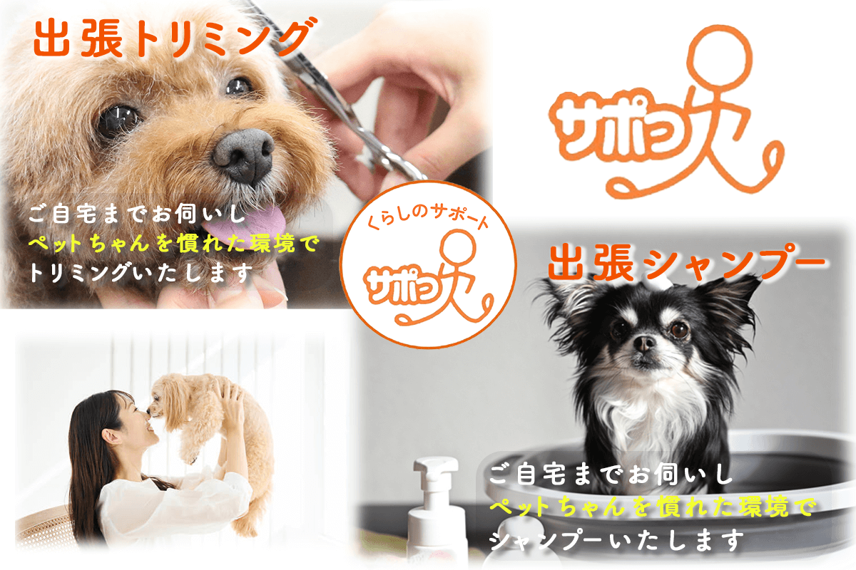 出張トリミング:ご自宅までお伺いしペットちゃんを慣れた環境でトリミングいたします。 出張シャンプー:ご自宅までお伺いしペットちゃんを慣れた環境でシャンプーいたします。