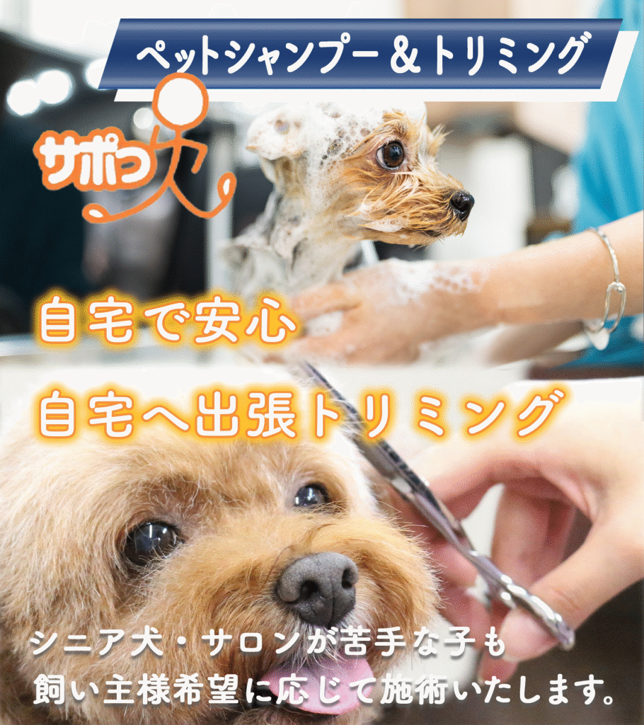 ペットシャンプートリミング：自宅で安心、自宅へ出張トリミング、シニア犬、サロンが苦手な子も飼い主様希望に応じて施術いたします。